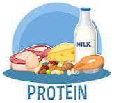 Let’s Talk Protein